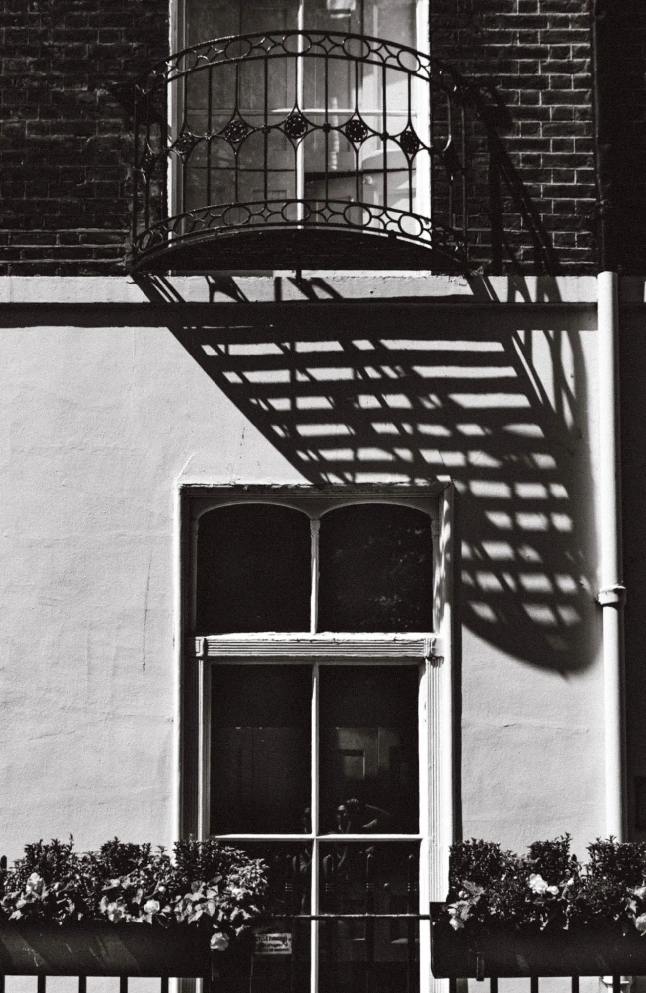 Black and white: a wrought-iron balcony throws a slatted shadow across a white wall and a sash window with flower boxes